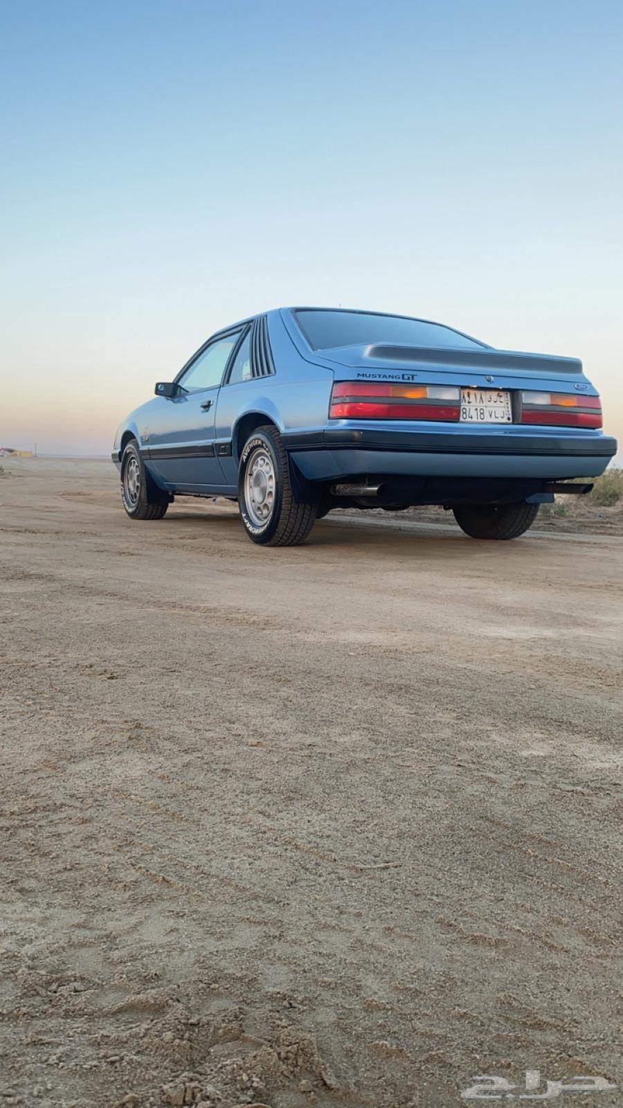 موستنج 198563171364096259114