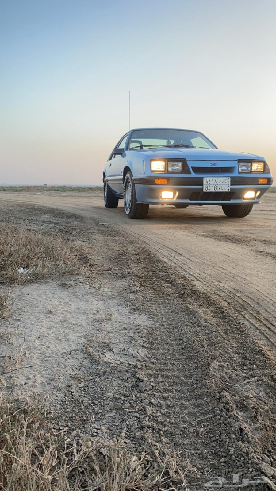 موستنج 198563171364096259113