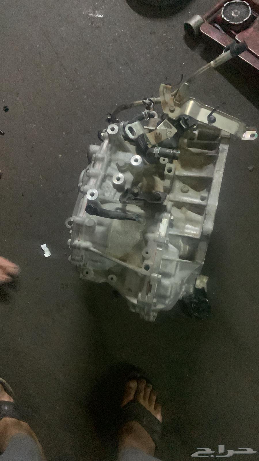 قويزه التشليح63170425504899112