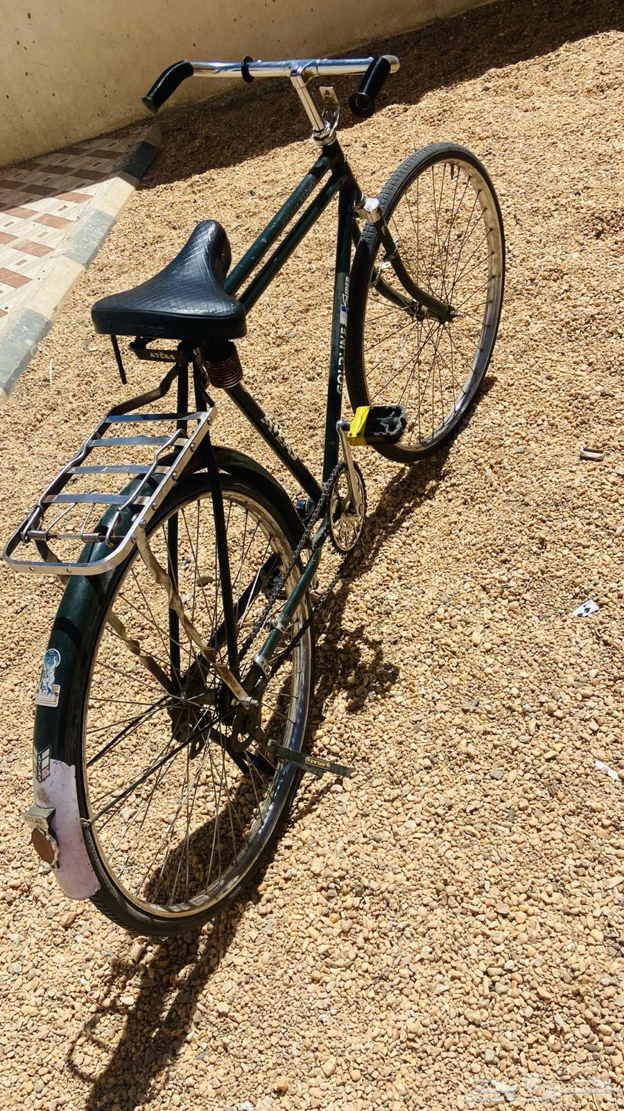 Indian Cycle631104362702111111