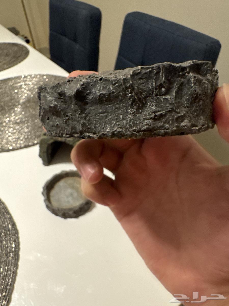 بيت سلاحف البرية63109697090818112