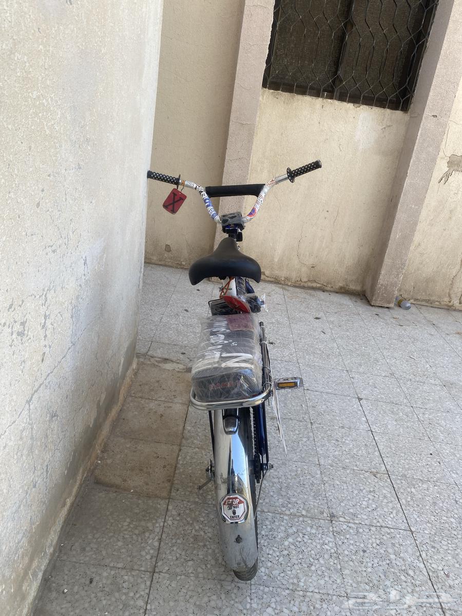 رامبو63170429627778113