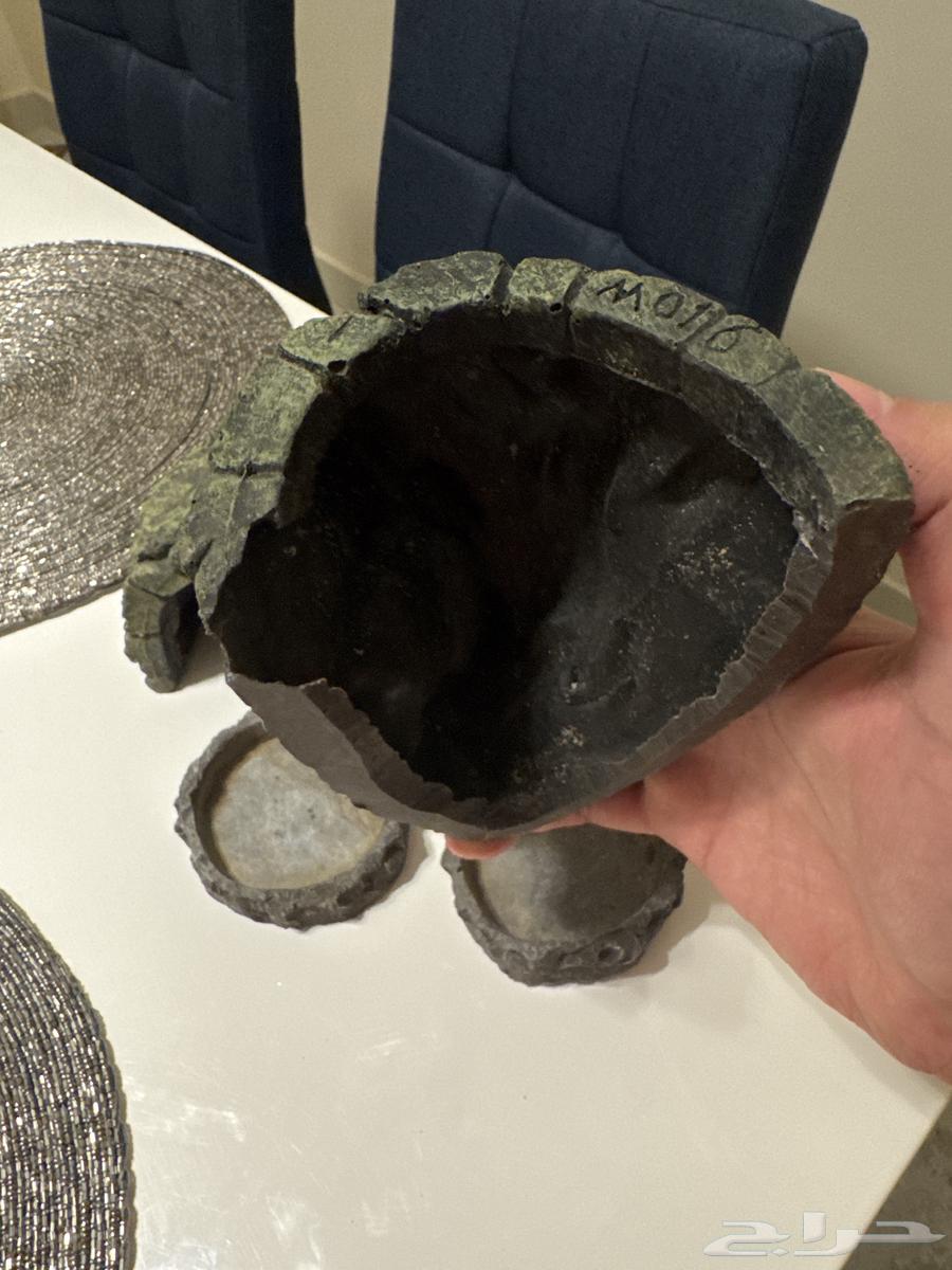 بيت سلاحف البرية63109697090818111