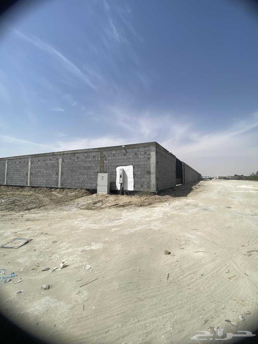 للايجار اراضي زراعيه مسوره63016086482051111