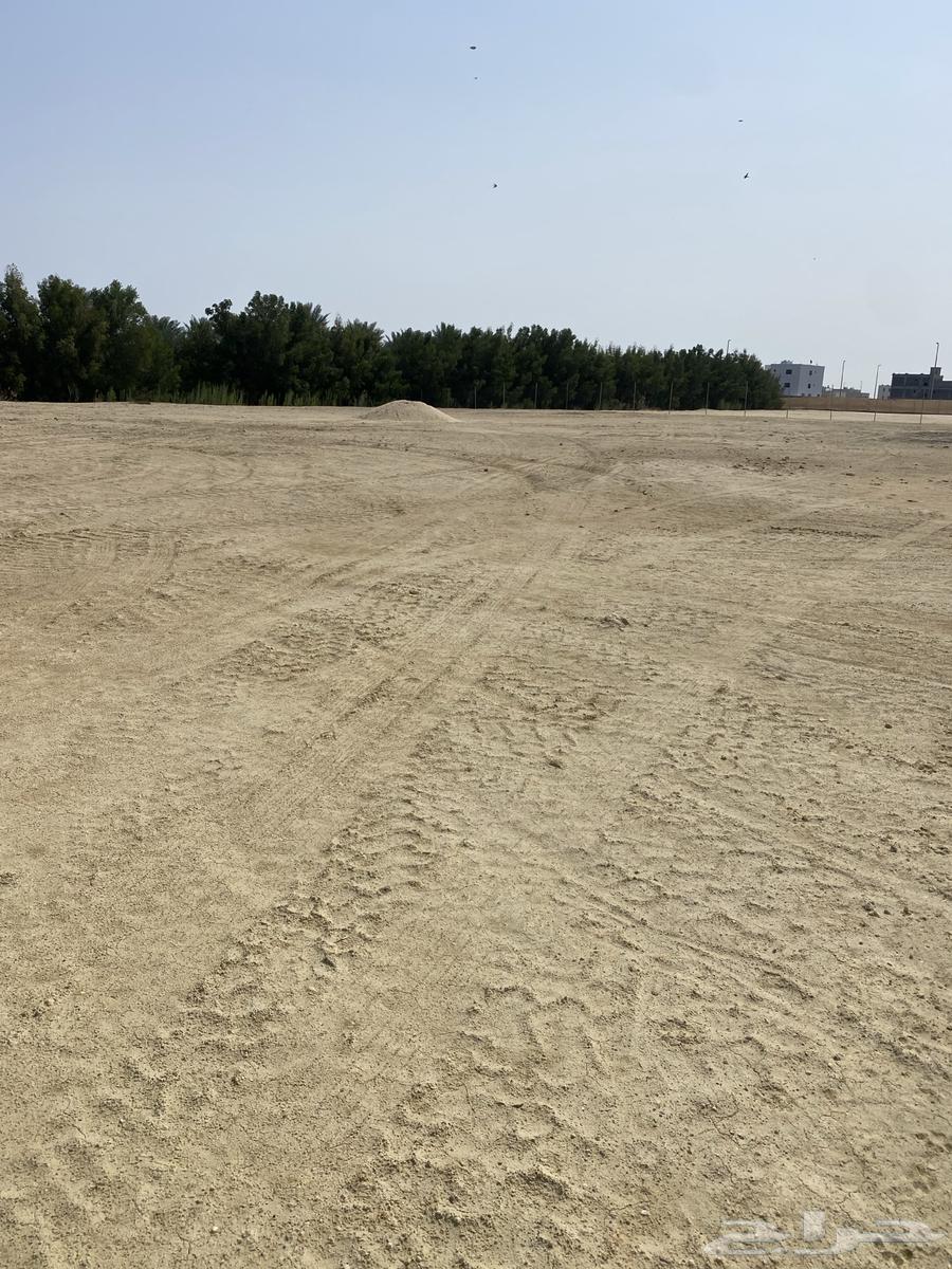 للايجار اراضي زراعيه مسوره63016086482051113