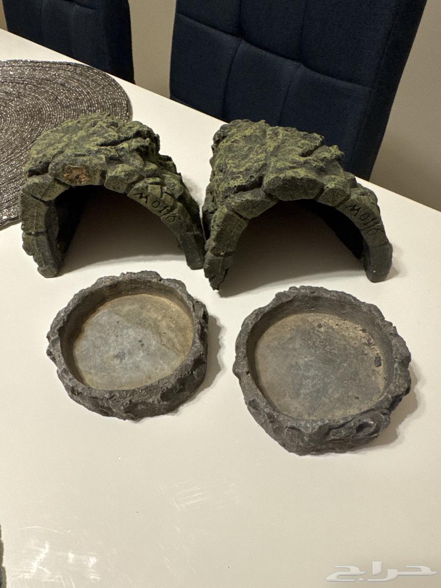 بيت سلاحف البرية63109697090818110