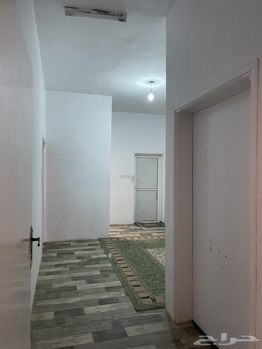 دور 8 غرف للإيجار628874236544011129