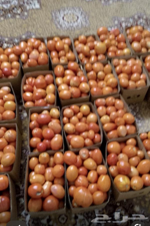 Tomatoes and peppers for sale63110805761025119