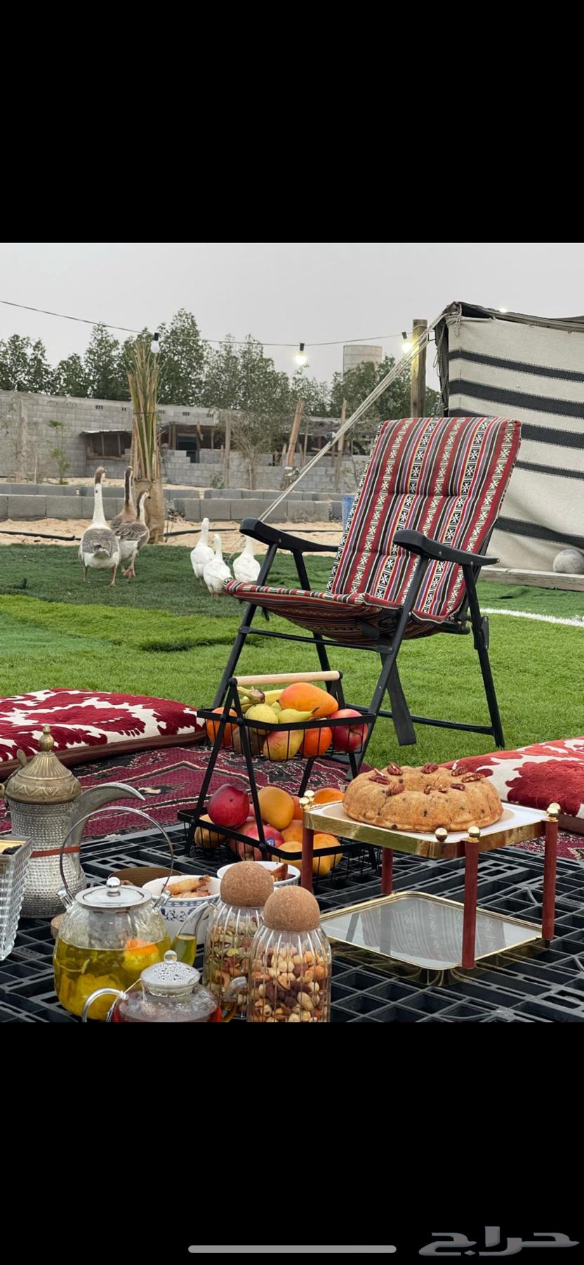 مزرعه بالجبيل للإيجار اليومي63111568030850111