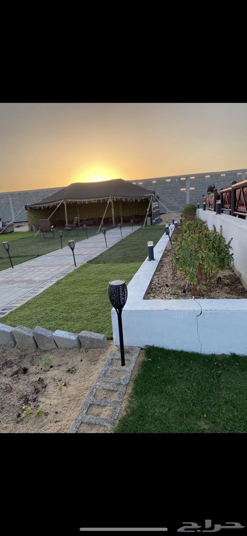 Daily rental farm in Al-Jubail631115680308501110
