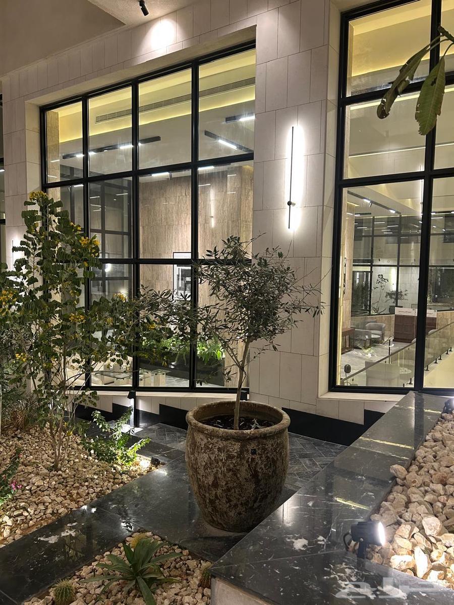 شقة للإيجار