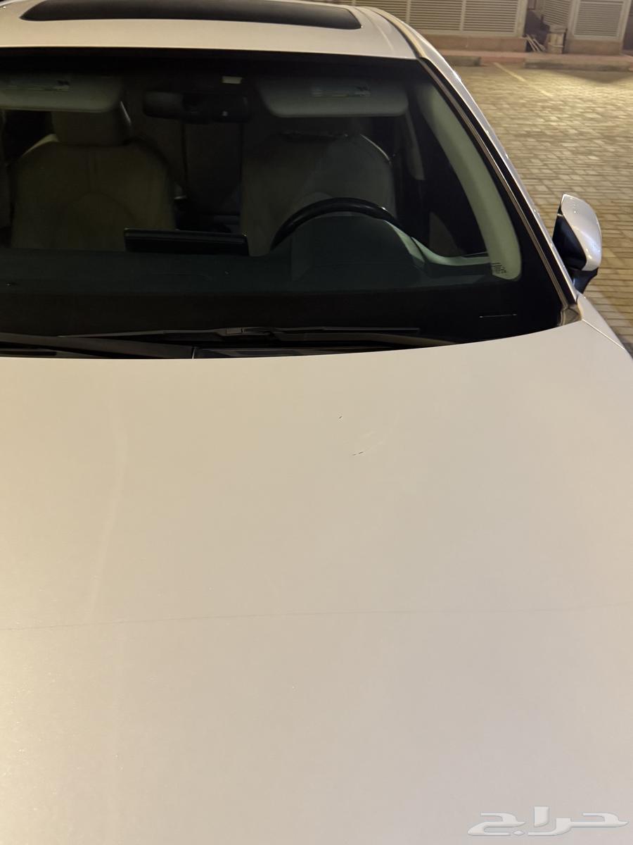 أفالون تورنق نص فل 2019 مالك أول63168099125762114