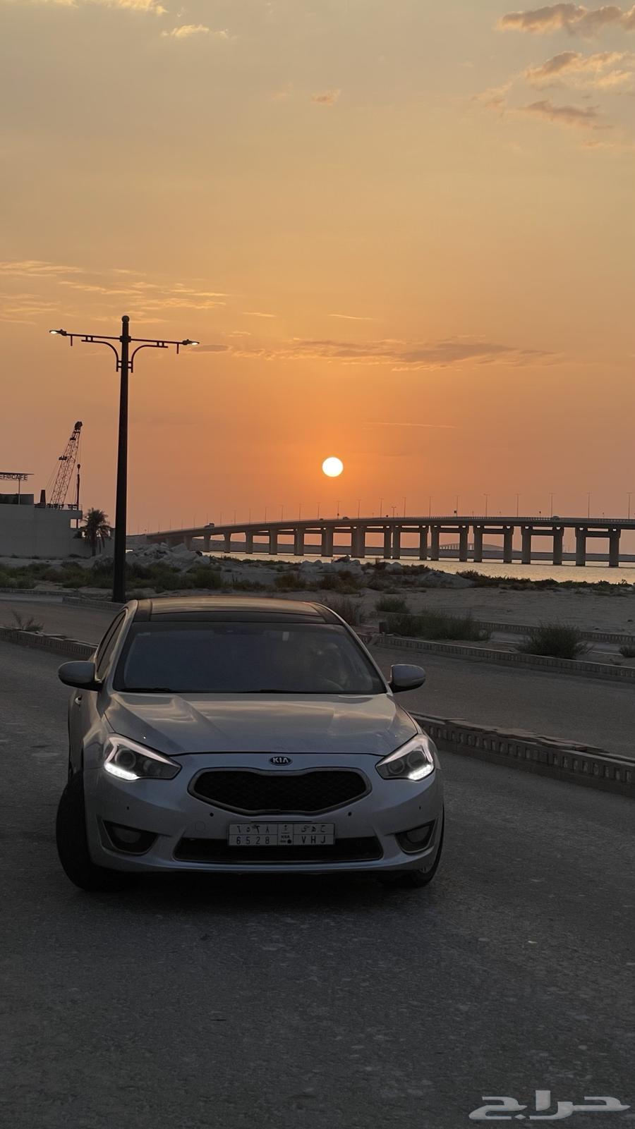 كادينزا للبيع63166228561281113
