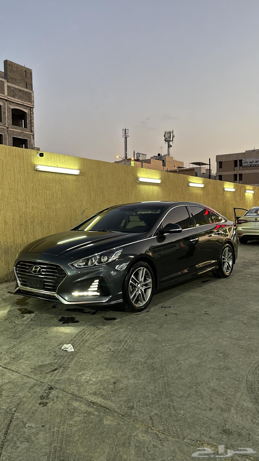 Sonata 2018 text file63165280942723111