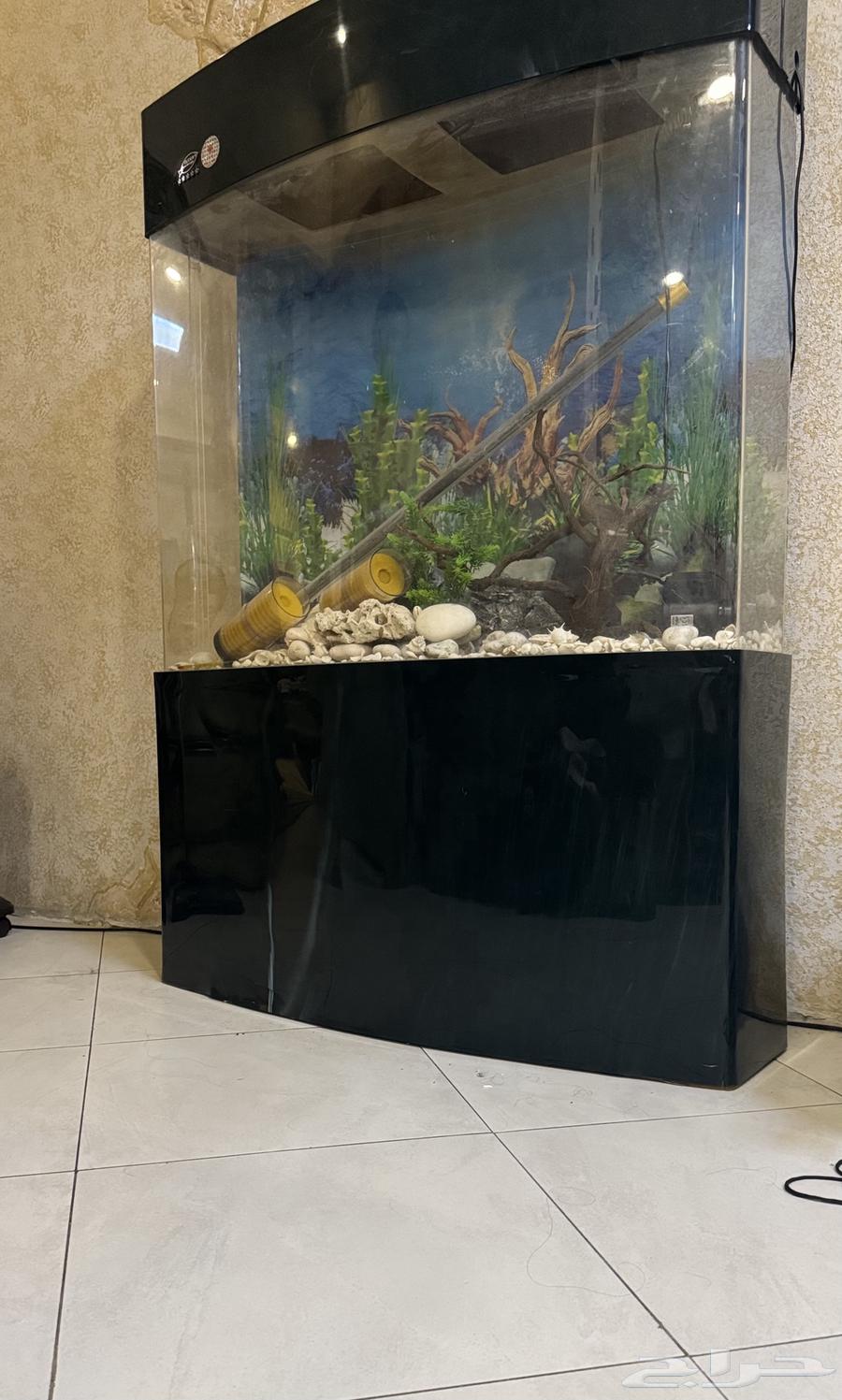 Fish tank with all its tools for sale63105648484227112
