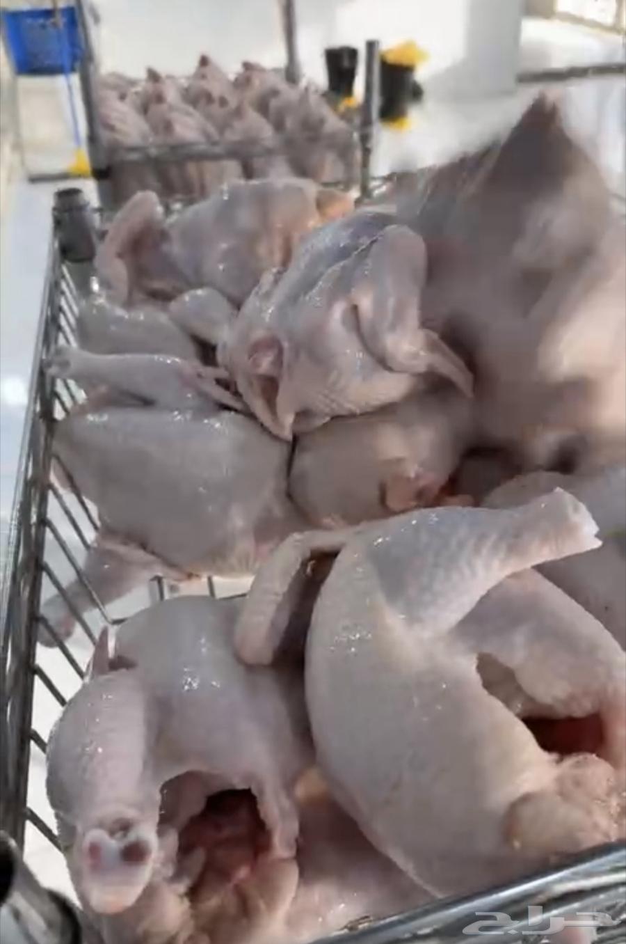 Fried chicken63011345569795111