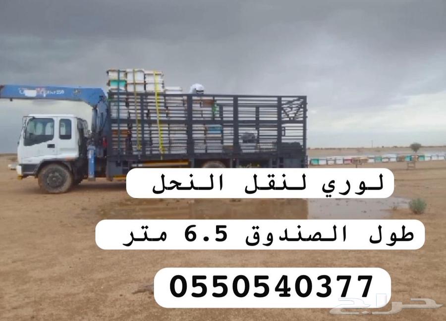Dina Lory transferred to the hive.63019119182977118