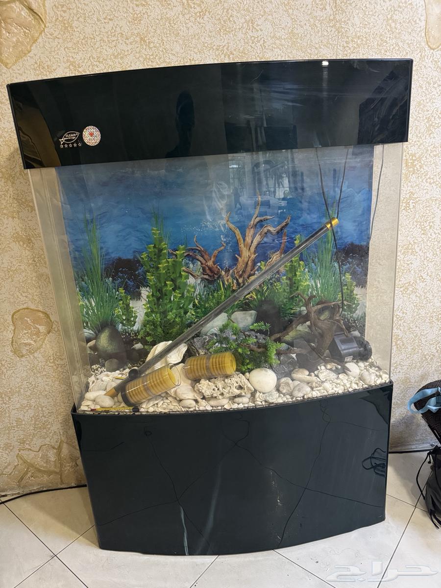 Fish tank with all its tools for sale63105648484227111