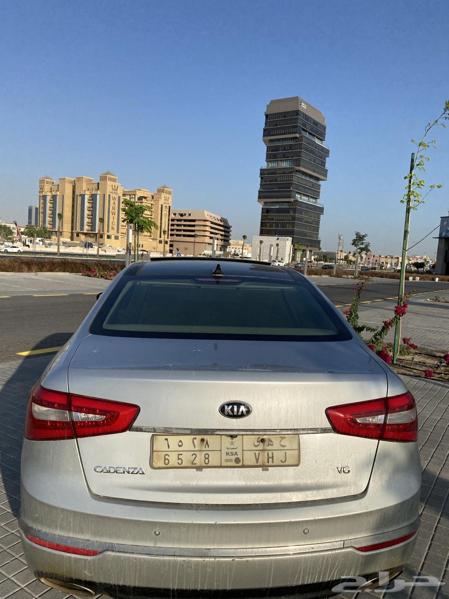 كادينزا للبيع63166228561281111
