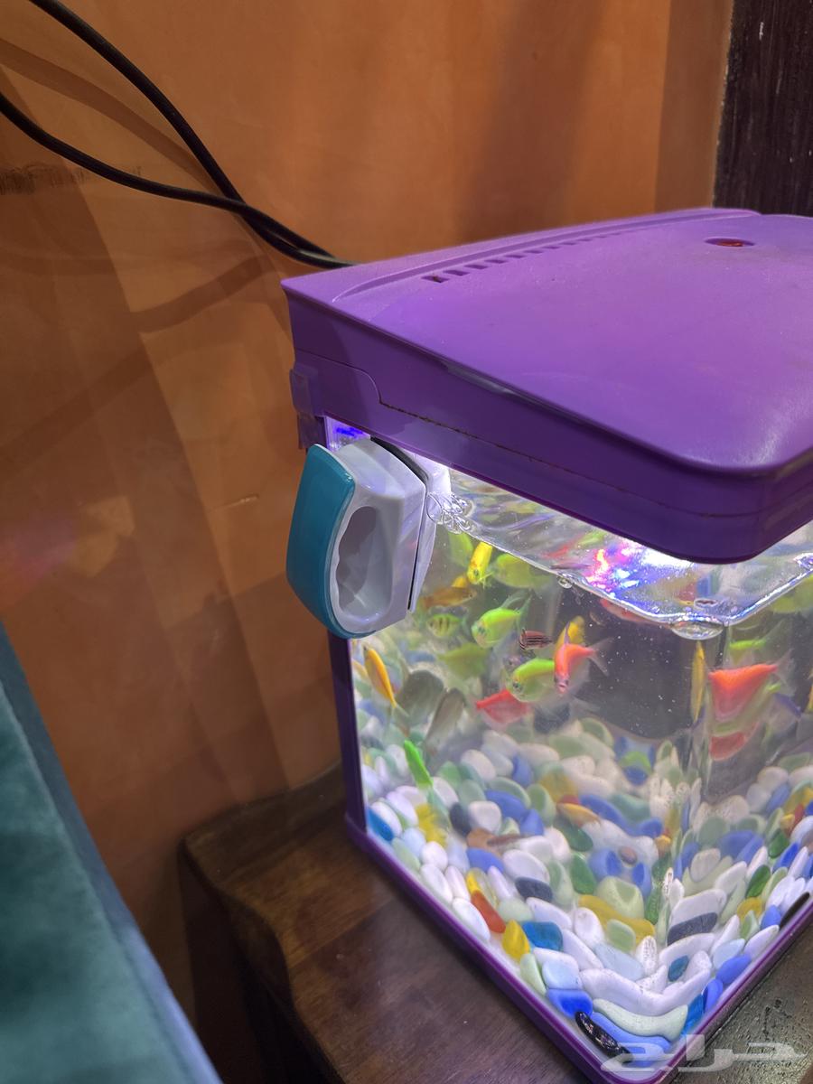 Fish tank filter with ornamental fish63107176714627113