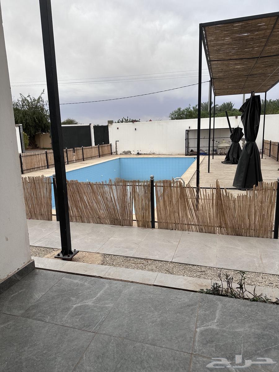 مشروع مدرسة سباحه للاطفال للتاجير63105278086146112
