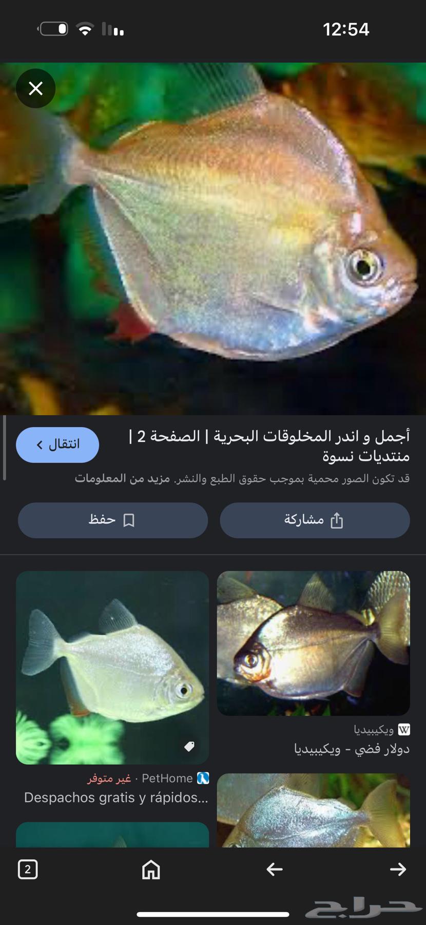 Fish tank filter with ornamental fish63107176714627114