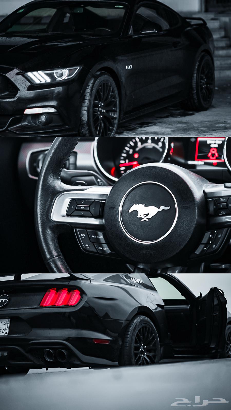 موستنق 2015 GT631592908138251120
