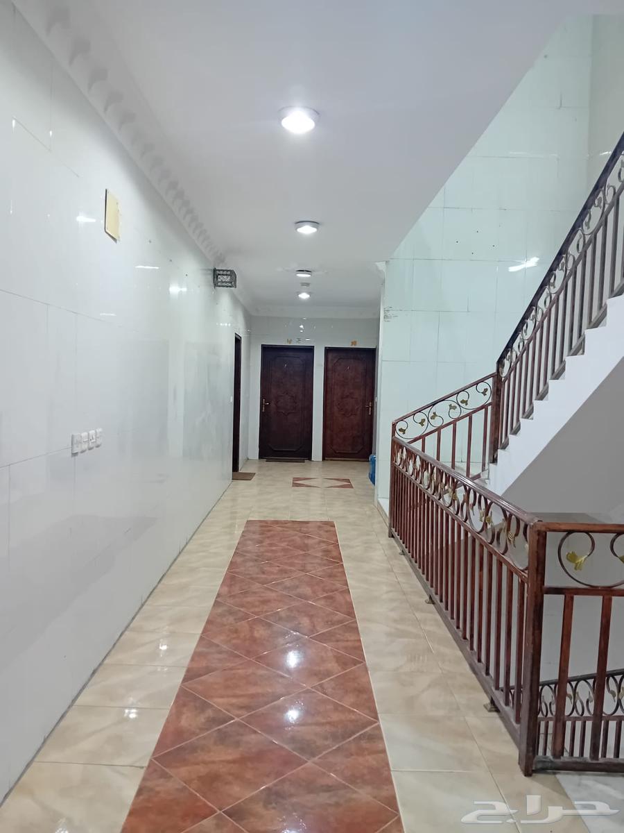 شقة للإيجار