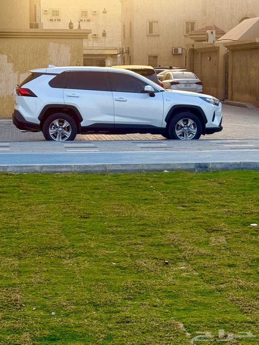 RAV4 car for rent - 2025 Hybrid 4X463162514370561111