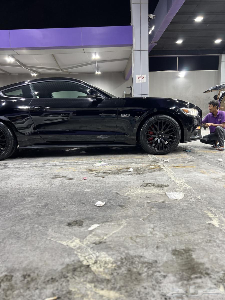 موستنق 2015 GT63159290813825113