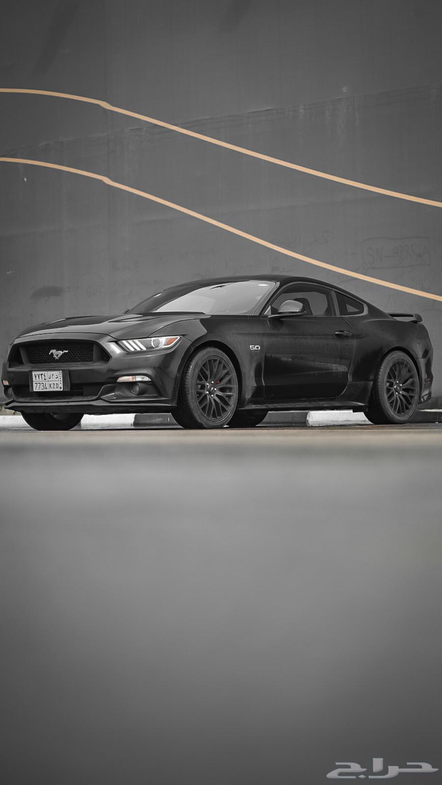 موستنق 2015 GT63159290813825111