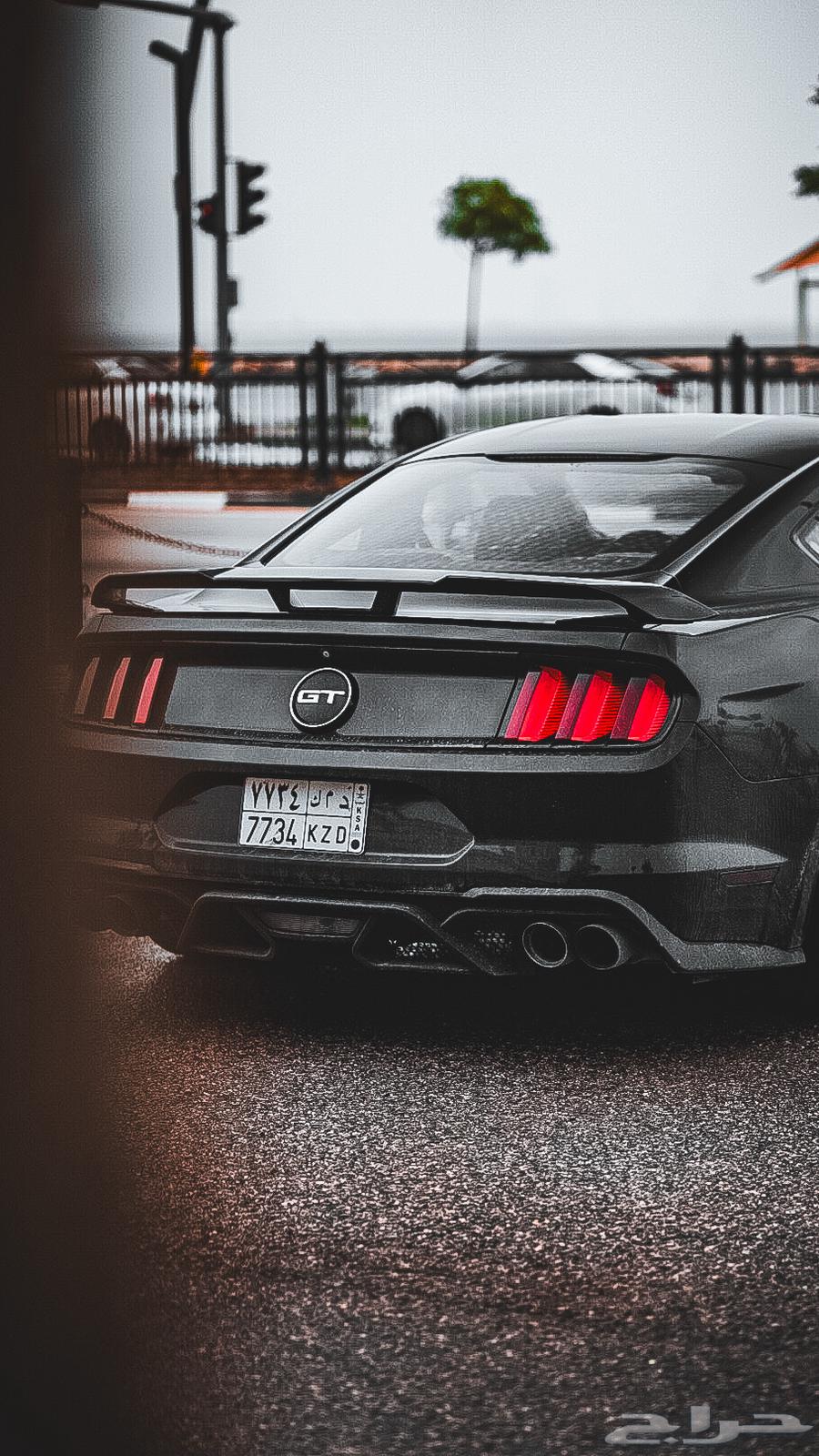 موستنق 2015 GT63159290813825112