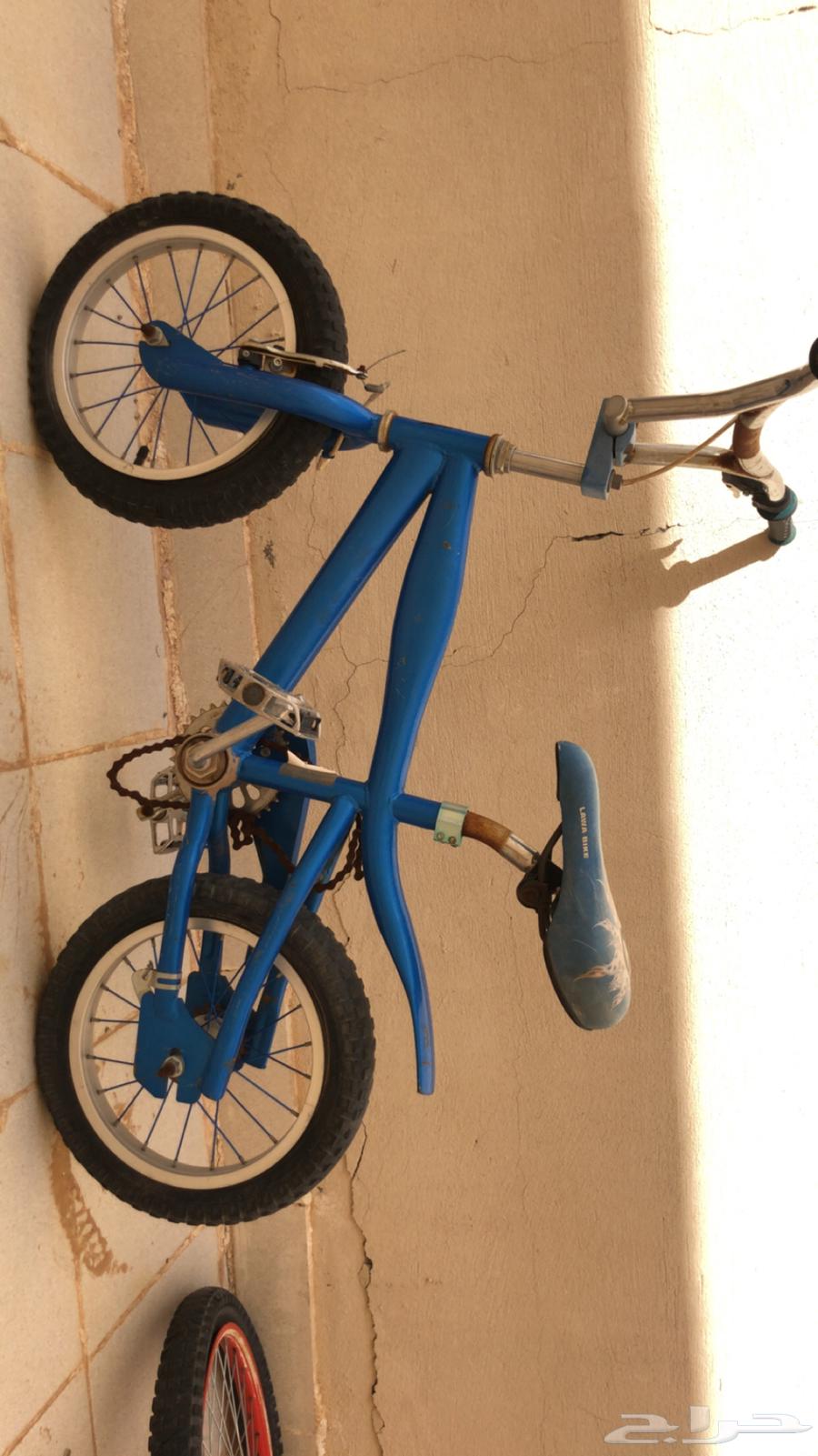 Cobra Cycle63100507075970112