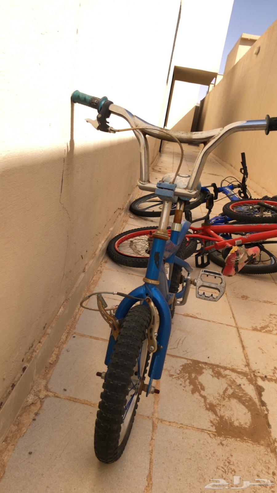 Cobra Cycle63100507075970111