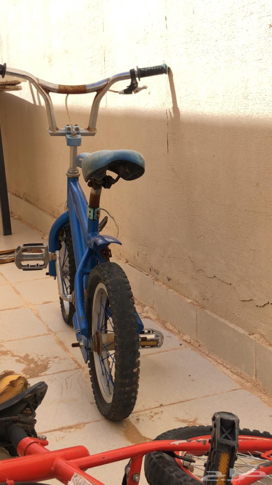 Cobra Cycle631005070759701113
