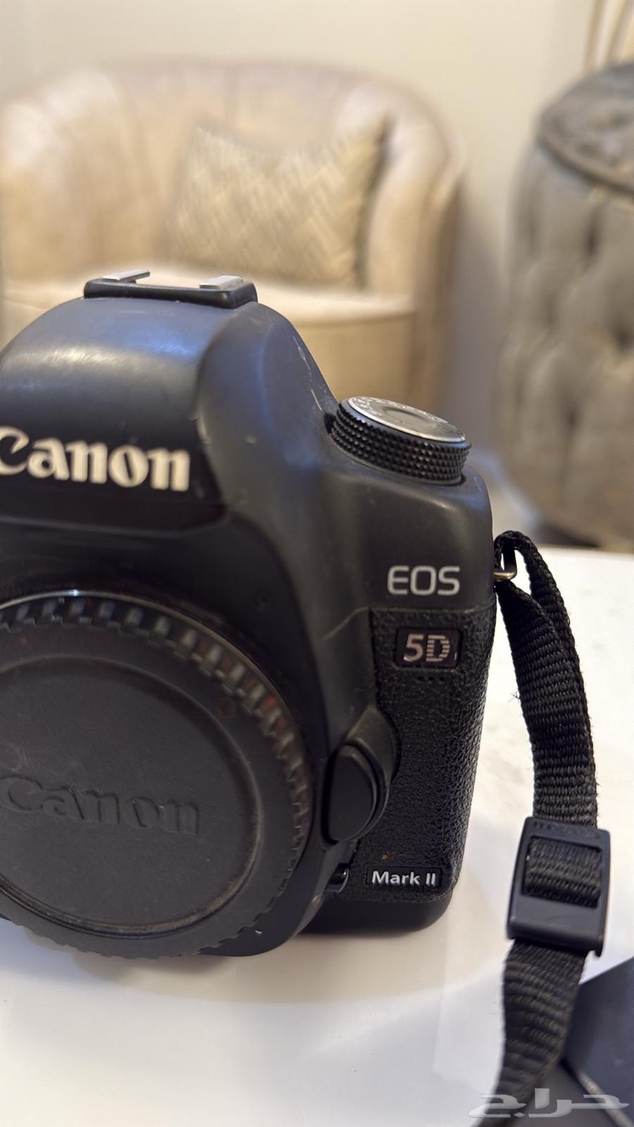 5D camera mark630997169866271126