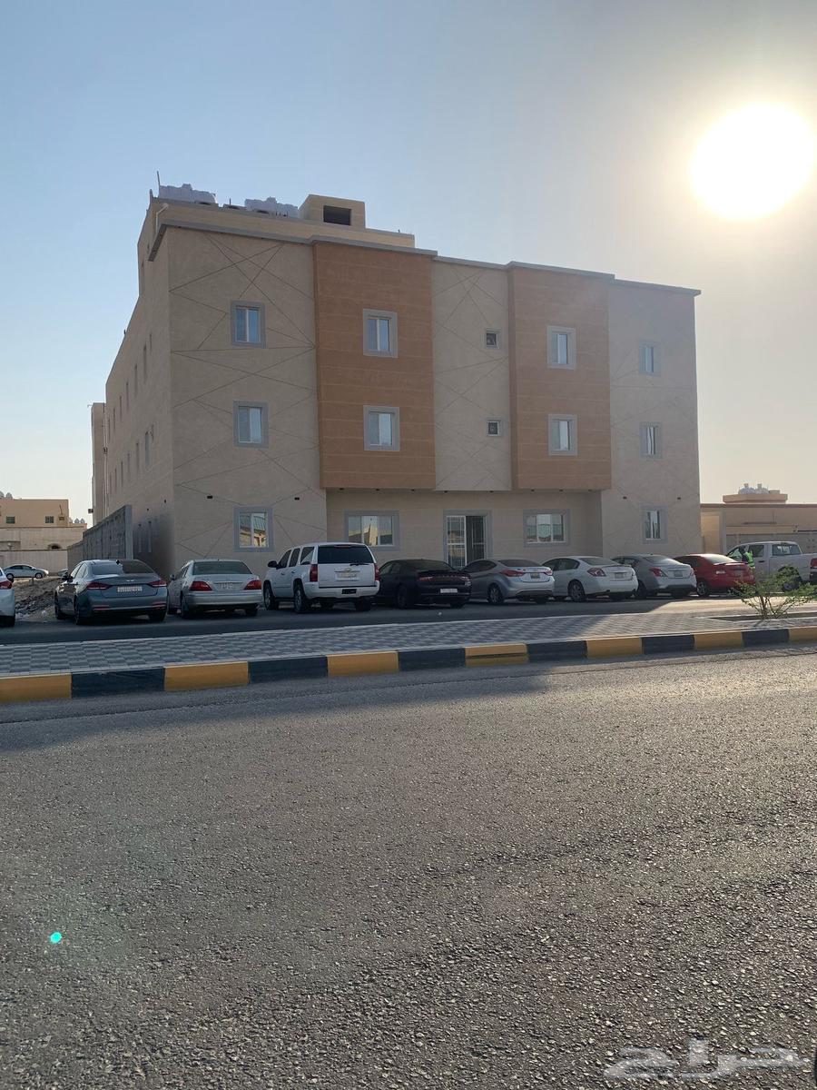 عمارة للإيجار