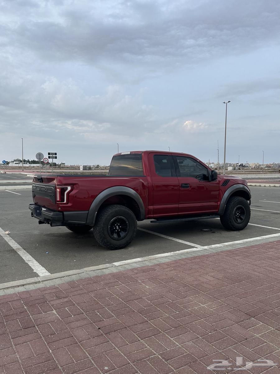 Raptor 2018 half a share63155579294595114