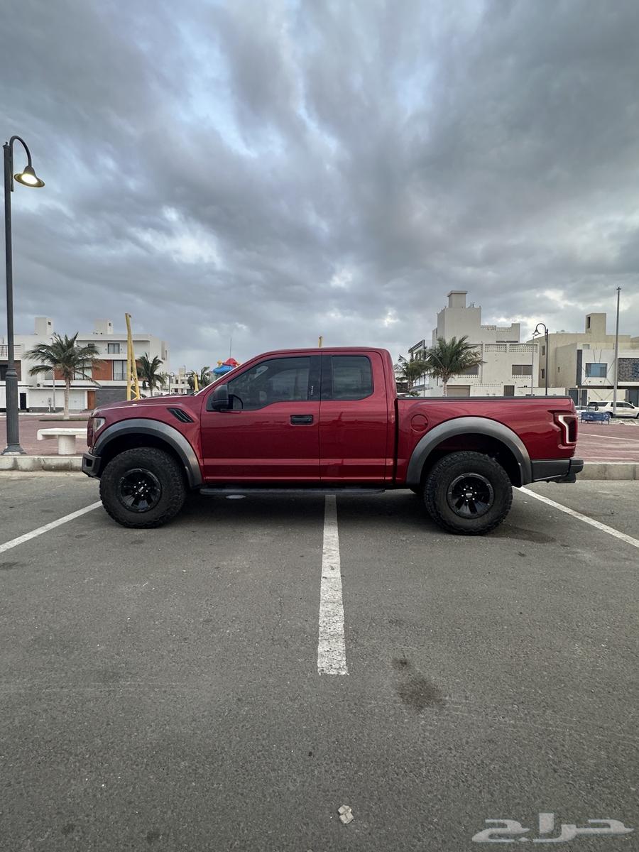 Raptor 2018 half a share63155579294595113