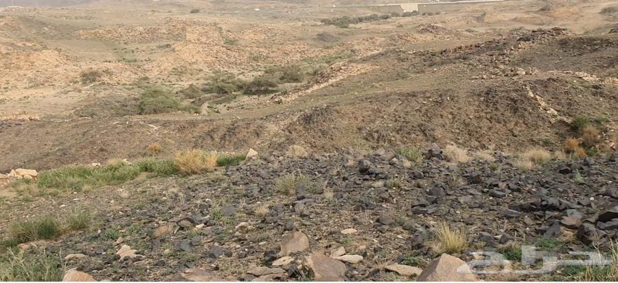 Land for sale with electronic title in plot 1825, violating regulations630147500008991112