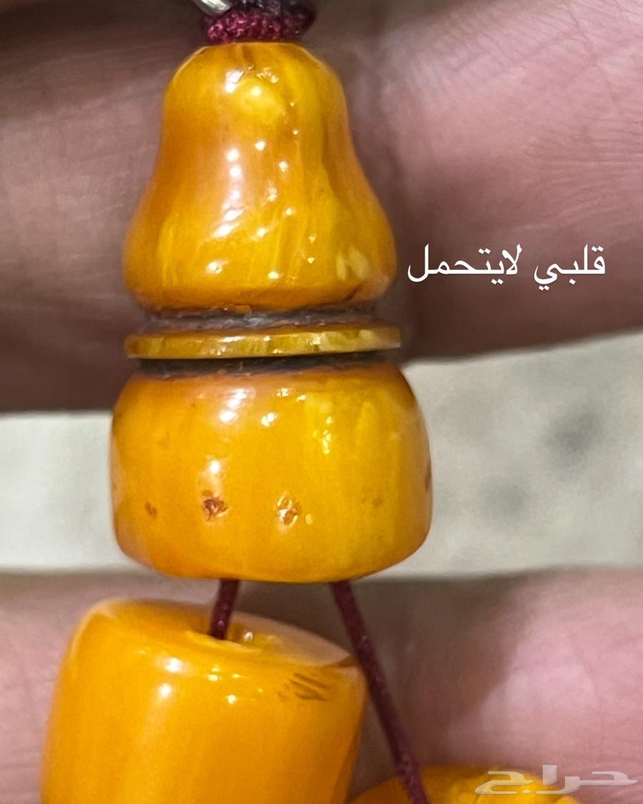 Musbah Ghali Al-Jaziri has been sold634801969487371115