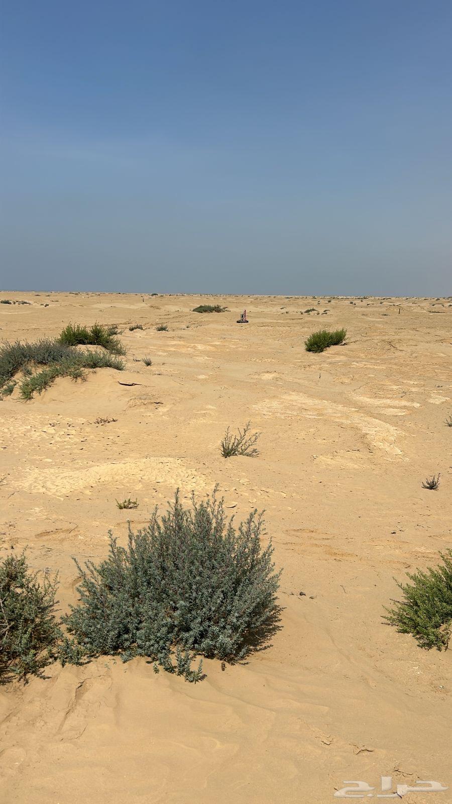 أرض مخطط الشاطئ القنفذه628913494720031128