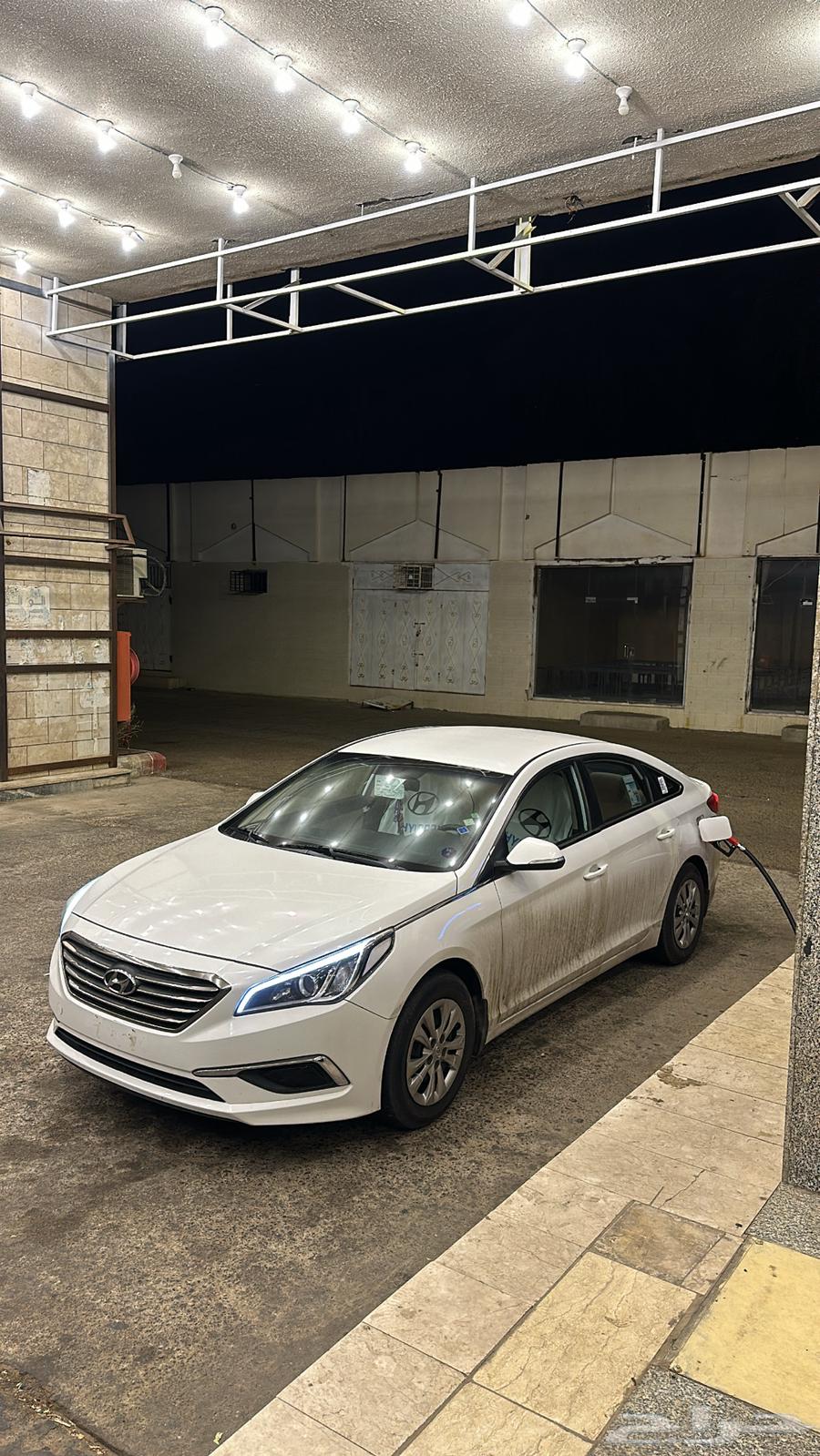 Sonata for sale, conditional63151458066306111