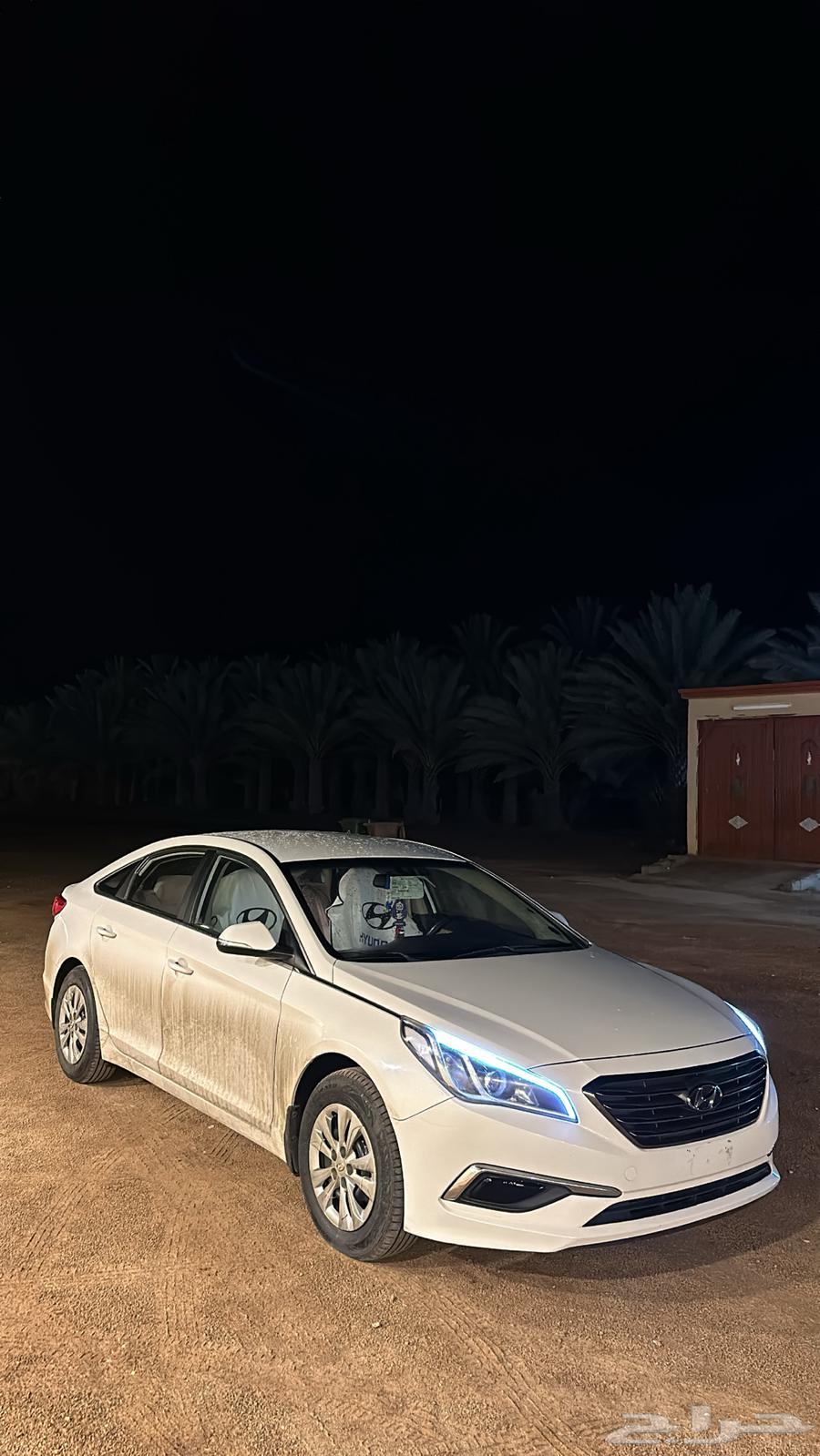 Sonata for sale, conditional63151458066306114