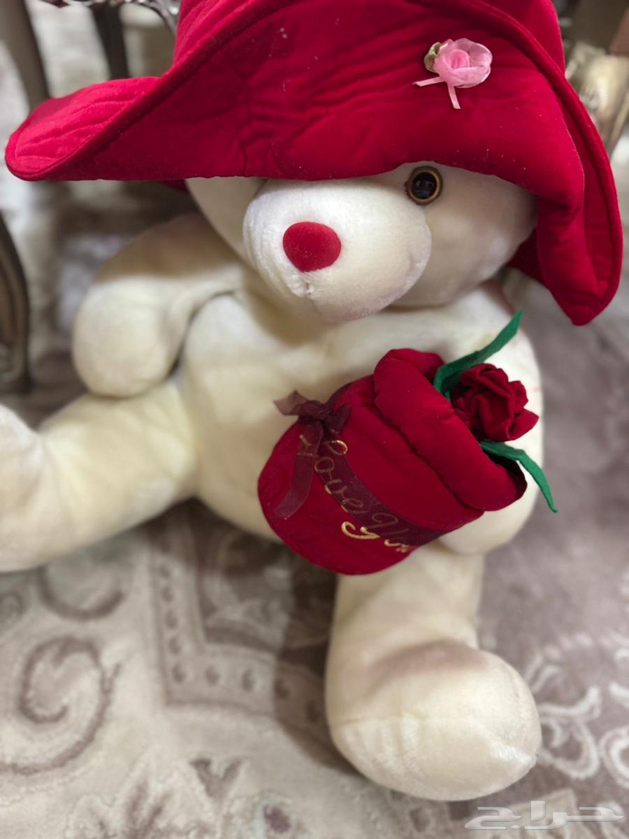 Dabdob Damihi63098179310210112