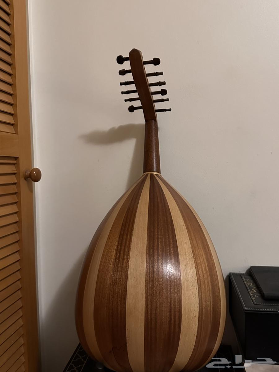 Wood similar to Abadi's wood63478749618819111