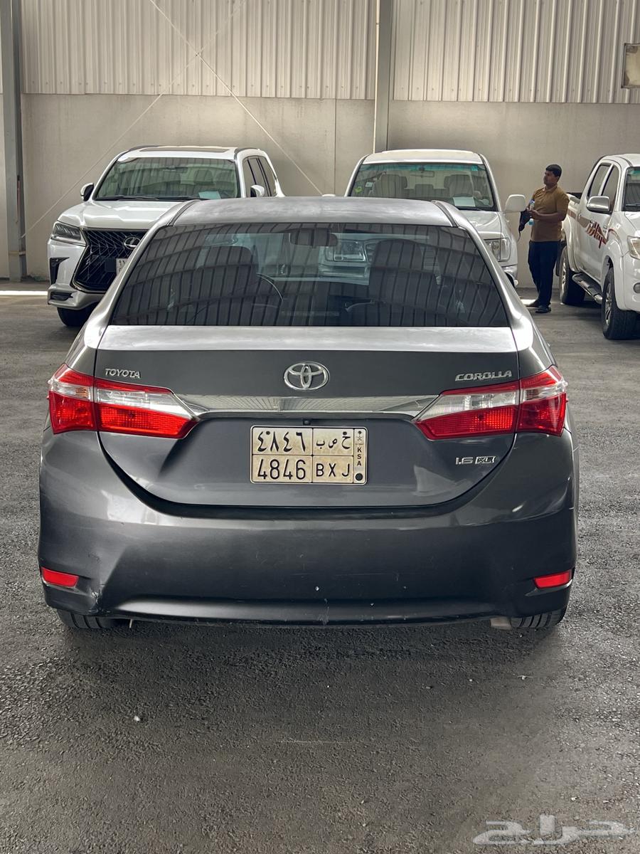 Koura 20152 (sold)63149146332675111