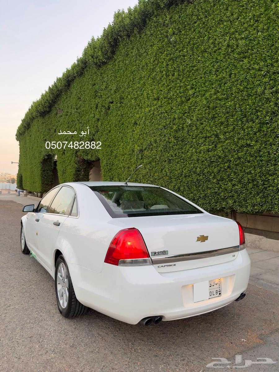 CAPRICE 201263147716951681113