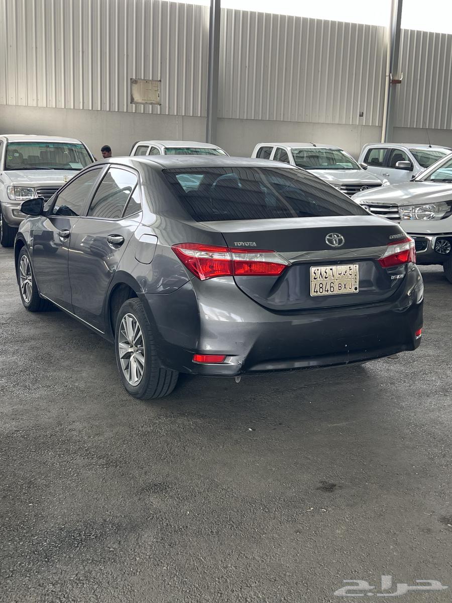 Koura 20152 (sold)63149146332675114