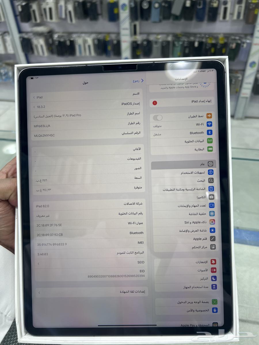 iPad 6th generation 12.9 memory 256 chip63097478499331112